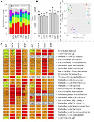 Taxonomic and Functional Diversity of Rhizosphere Microbiome Recruited From Compost Synergistically Determined by Plant Species and Compost